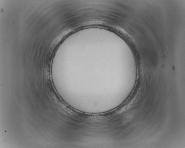 X0000073900929200609082144