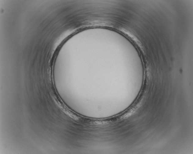 X0000073900933200609082144