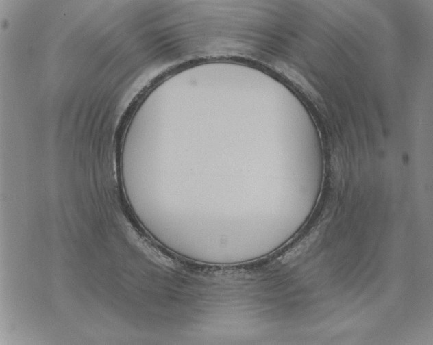 X0000073900934200609082144