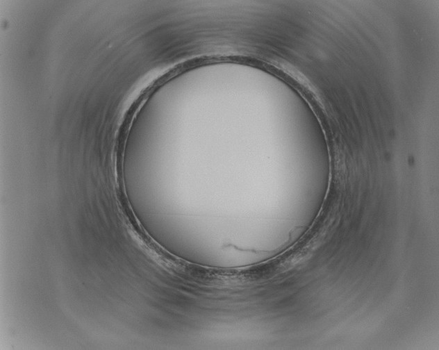 X0000073900935200609082144