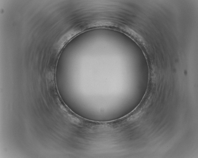 X0000073900937200609082144