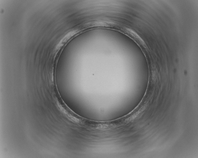 X0000073900938200609082144