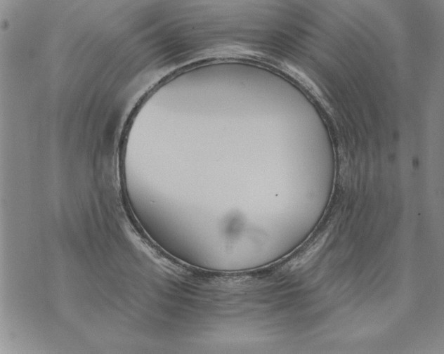 X0000073900939200609082144