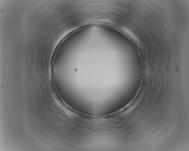 X0000073900940200609082144