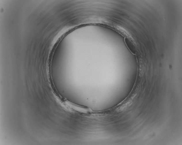 X0000073900942200609082144