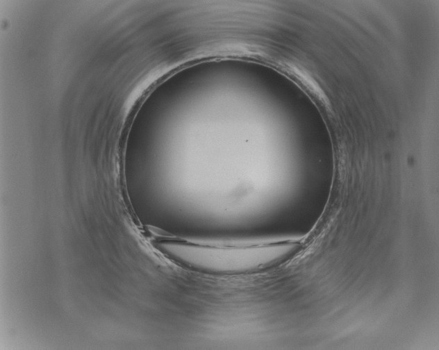 X0000073900944200609082144