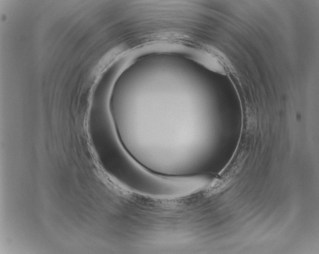 X0000073900946200609082144