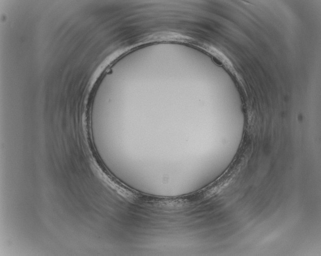 X0000073900947200609082144