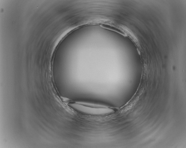 X0000073900948200609082144