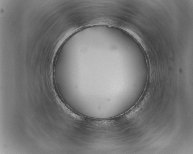 X0000073900949200609082144