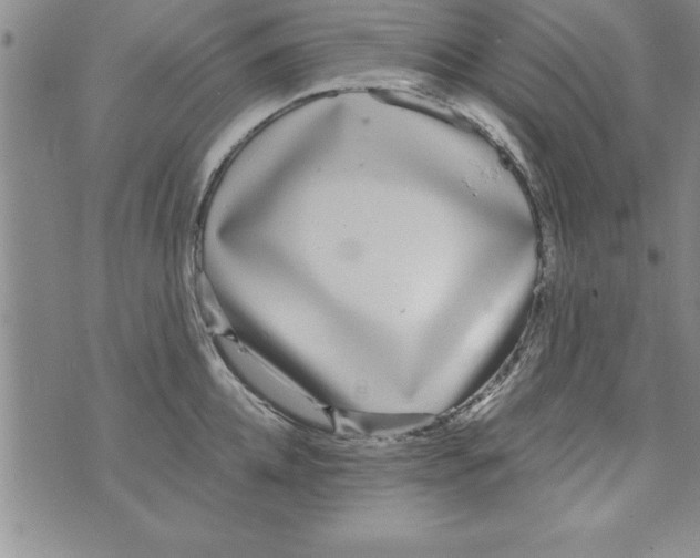 X0000073900952200609082144