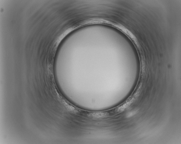 X0000073900953200609082144