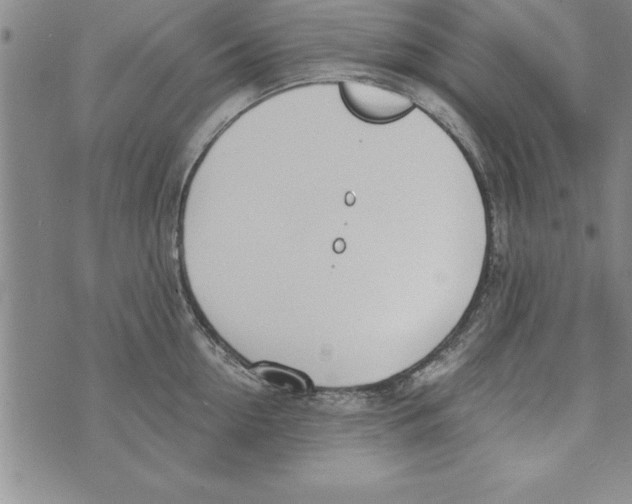 X0000073900954200609082144