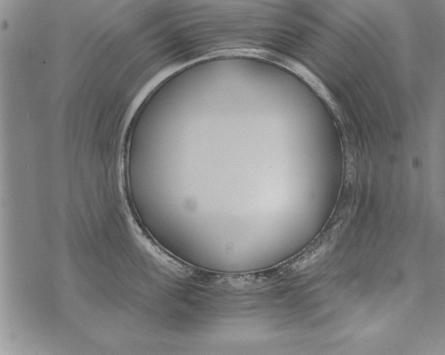 X0000073900955200609082144