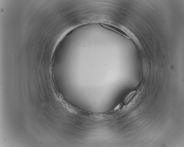 X0000073900956200609082144