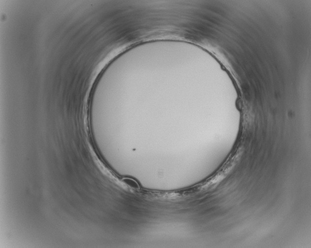 X0000073900957200609082144