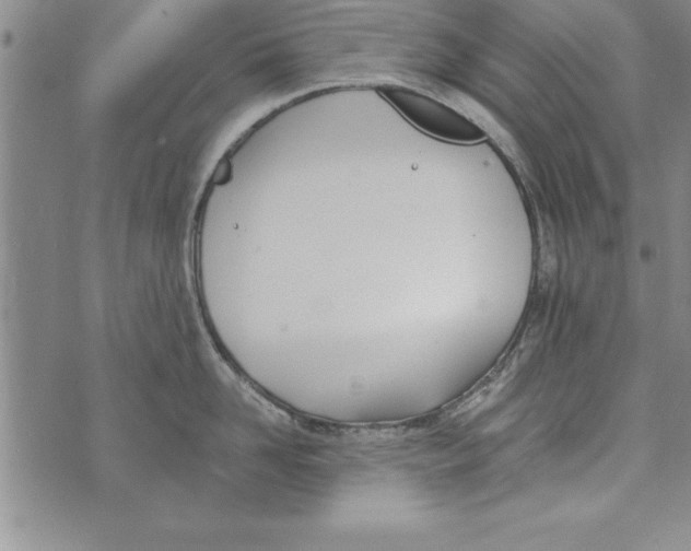 X0000073900958200609082144