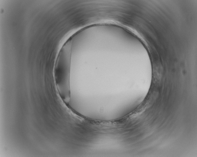 X0000073900959200609082144