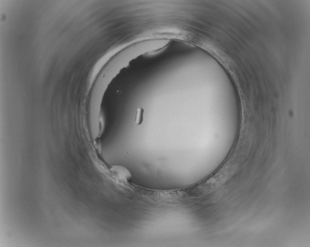 X0000073900960200609082144