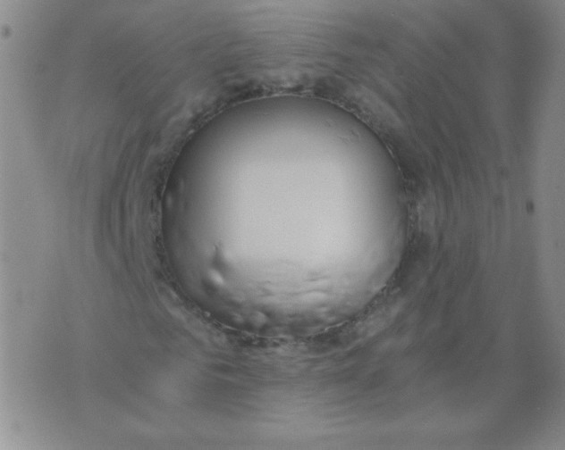 X0000073900961200609082144