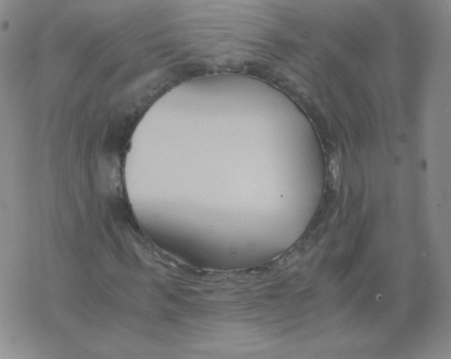 X0000073900963200609082144