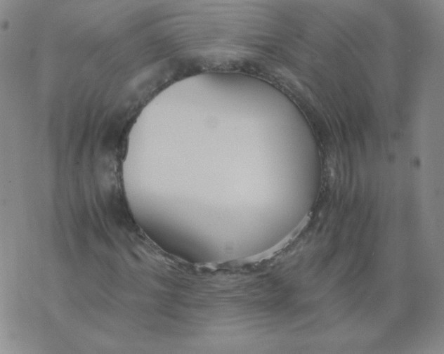 X0000073900964200609082144