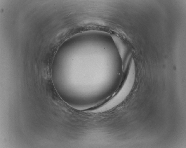 X0000073900965200609082144