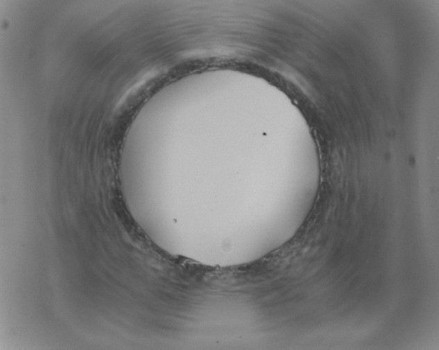 X0000073900967200609082144