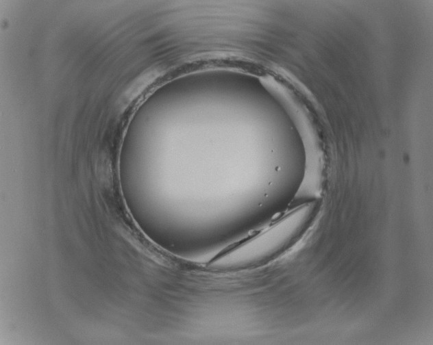 X0000073900969200609082144