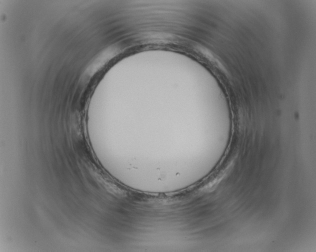 X0000073900970200609082144