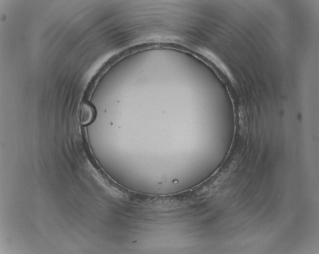 X0000073900972200609082143