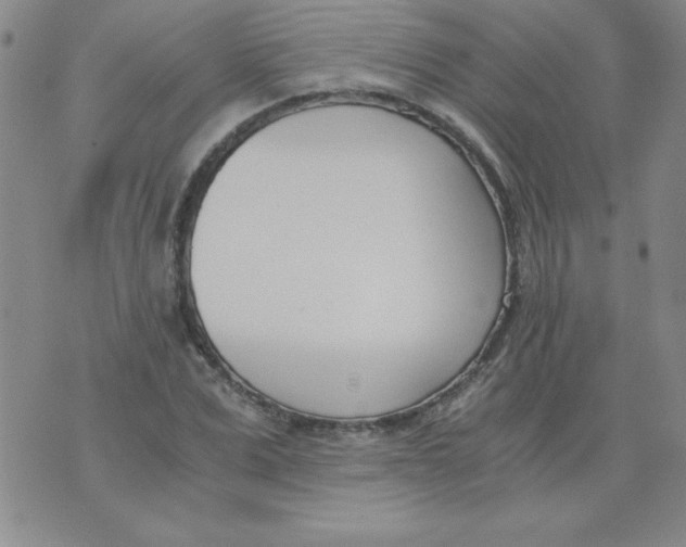 X0000073900975200609082143