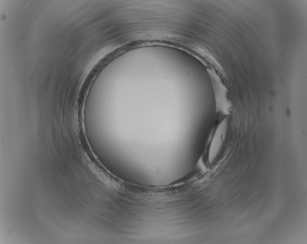 X0000073900976200609082143