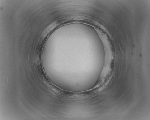 X0000073900977200609082143