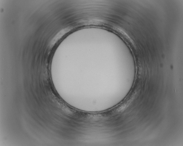 X0000073900978200609082143