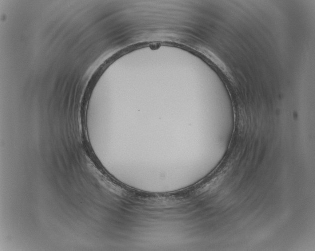 X0000073900980200609082143