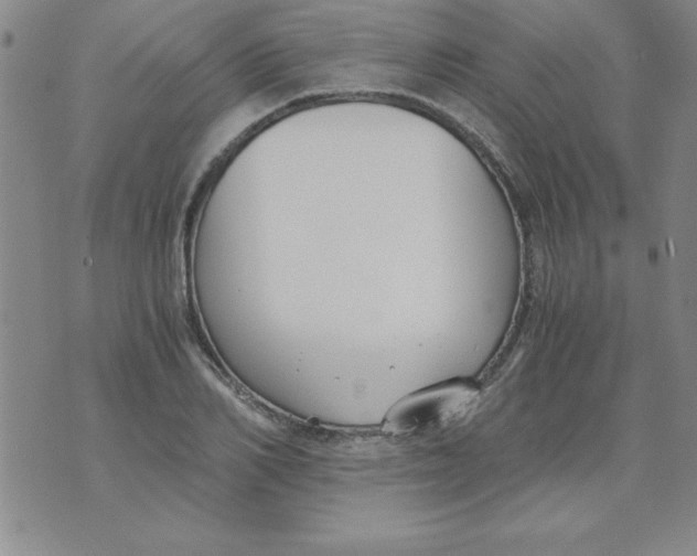 X0000073900982200609082143