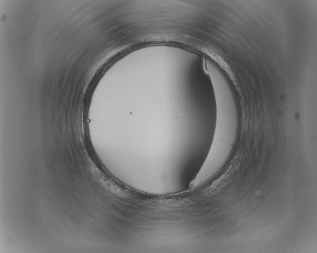 X0000073900984200609082143