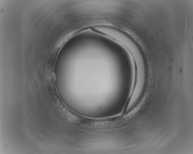 X0000073900985200609082143