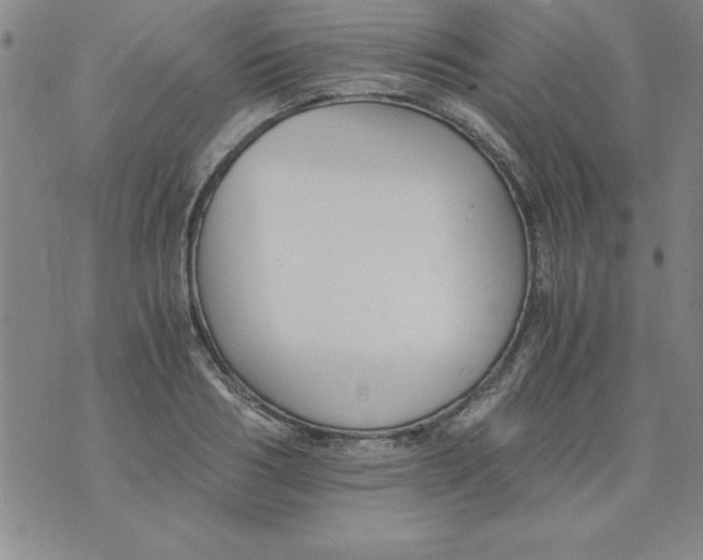 X0000073900986200609082143