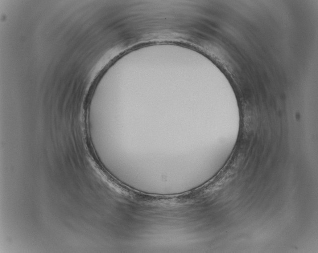 X0000073900990200609082143