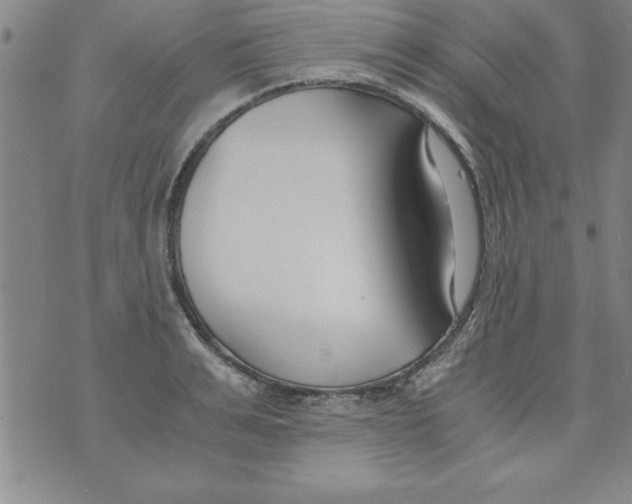 X0000073900991200609082143