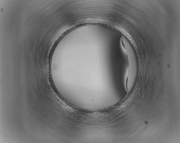 X0000073900992200609082143