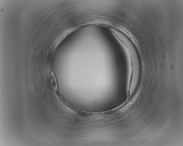 X0000073900993200609082143