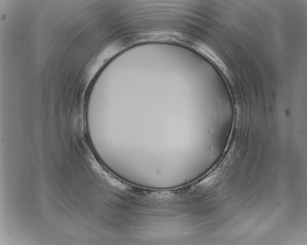 X0000073900994200609082143