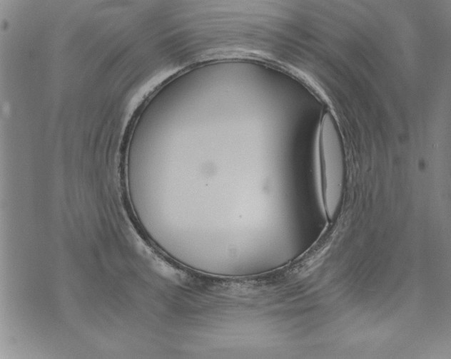 X0000073900995200609082143