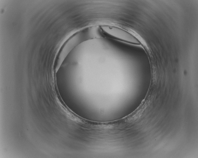 X0000073900996200609082143