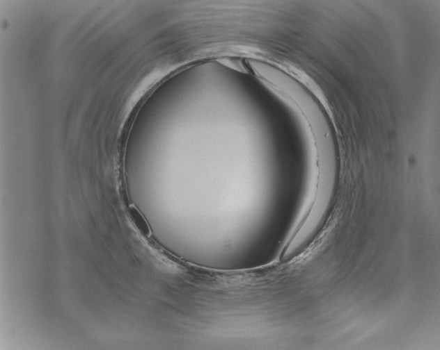 X0000073900997200609082143