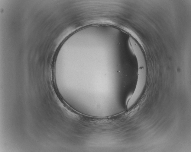 X0000073900999200609082143