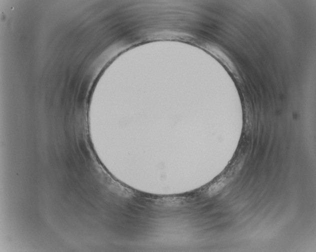 X0000073901000200609082143